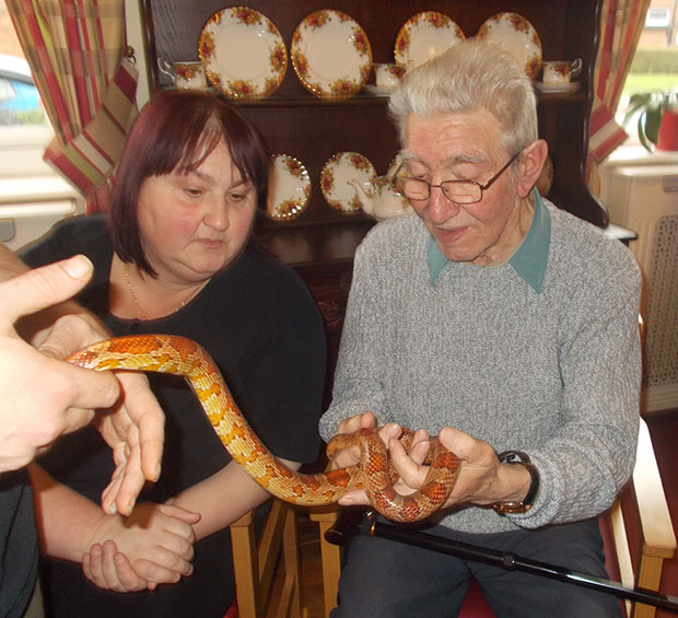 Gleavewood staff member Gillian Bailey and resident Tony Walsh get up close and personal with a corn snake