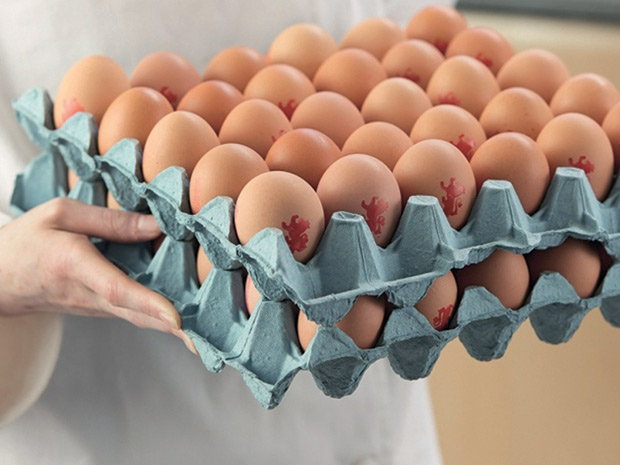 chefs eggs