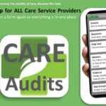 The CAREAudits System