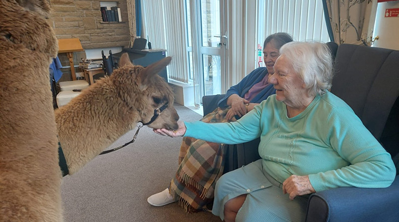 Welcome Surprise at Scarborough Home as Furry Friends Come to Visit Residents