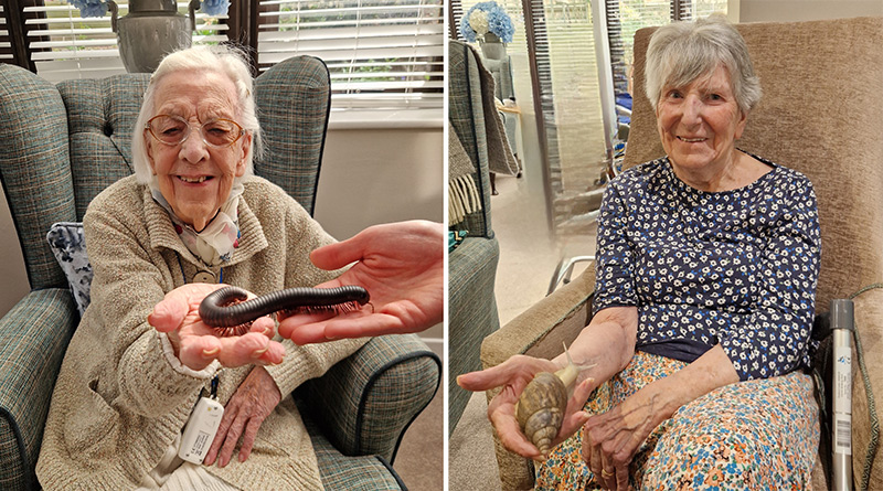Unusual Visitors for Ashcombe House Care home
