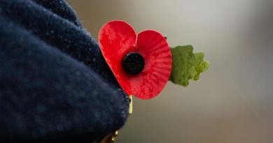 Remembrance Day – We Want to Hear Your Stories