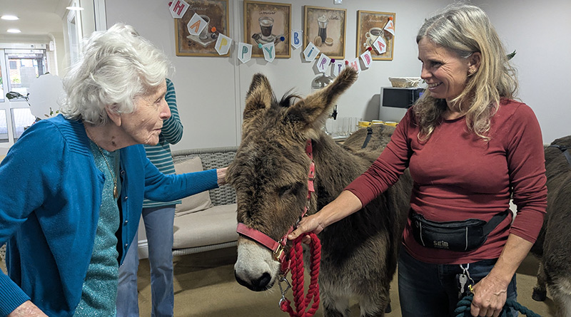 Donkey Surprise Delights Parkstone Care Home Resident On 104 Birthday