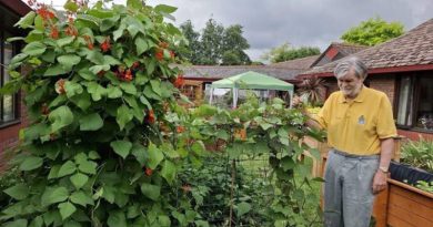 Appleby House Shows Us That Wildlife Gardens Boost Wellbeing