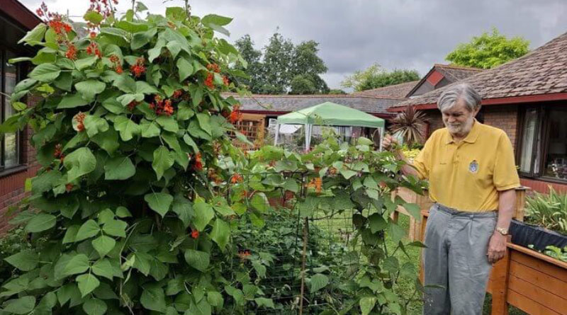 Appleby House Shows Us That Wildlife Gardens Boost Wellbeing