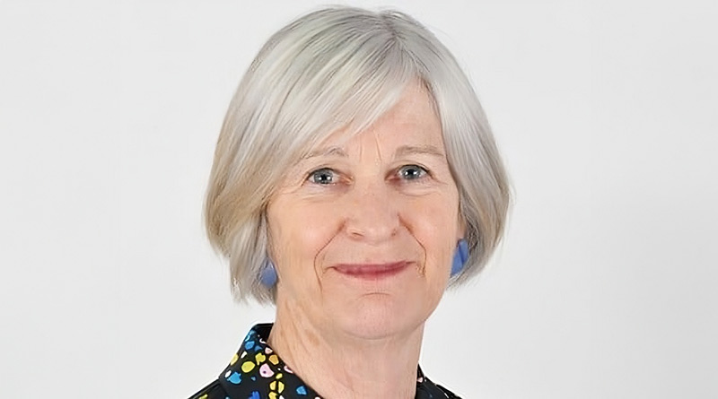 Dame Annie Hudson To Lead Review Of Social Work England