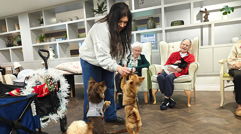 Animal Magic At Hilton Park – Local Care Home Residents Are Visited By Therapy Pets