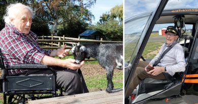 Making Wishes Come True: Care UK’s ‘Wishing Tree’ Initiative on International Men’s Day