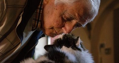 Care England and RSPCA Launch Guidance on Pets in Care Homes
