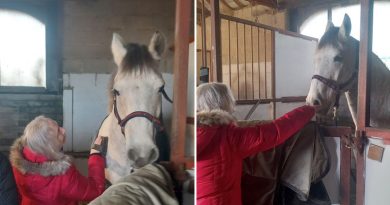 Huddersfield Care Home Resident Enjoys Special Day At The Stables After Winning Staff Auction Prize