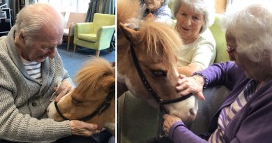 Friendly Miniature Horse Brings Smiles to York Care Home Residents