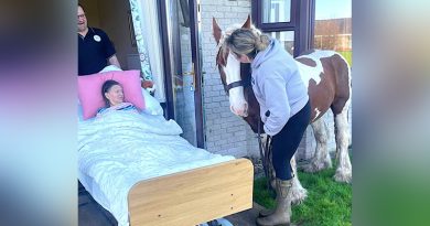 Porthcawl Care Home Team Brings Joy To Resident With Special Horse Visit