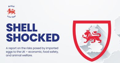New Report Urges Government Action on Escalating Safety, Hen Welfare and Reputational Risk from Imported Eggs