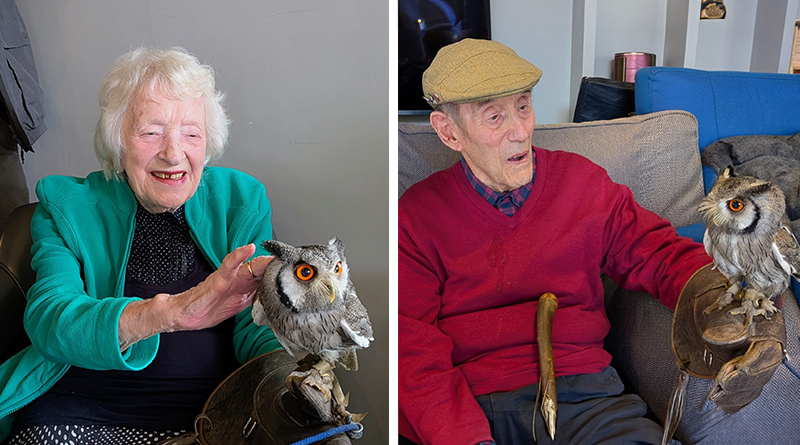 Residents At The Cedars Are Visited By Birds Of Prey