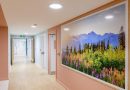 The Role of Colour and Finish in Creating Calmer Care Home Interiors