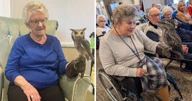 Birds of Prey Swoop in for Cardiff Care Home Visit