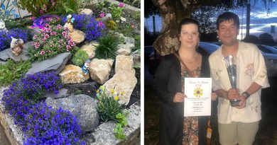 Catherine House Awarded Gold in Frome in Bloom Courtyard Competition