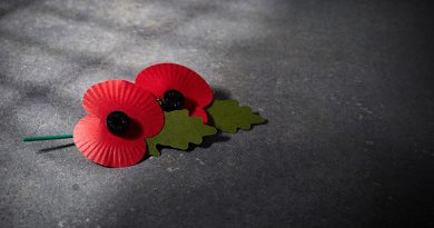 Remembrance Day – We Want to Hear Your Stories